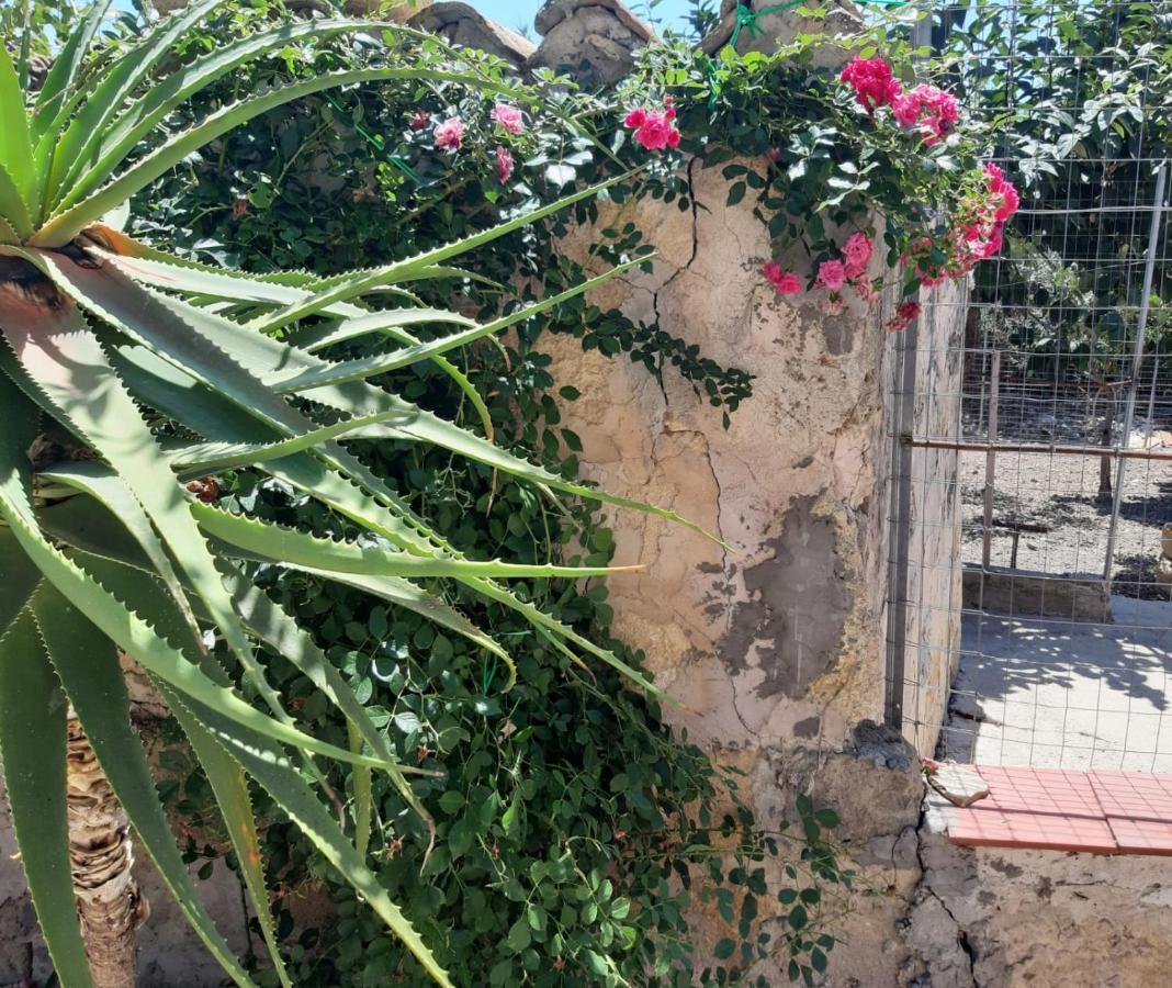 La Casa In Campagna Leilighet Chiesa Nuova  Eksteriør bilde